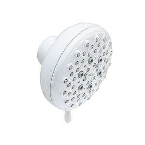 Banbury Five-Function 4 Showerhead