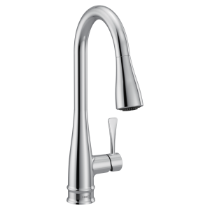 Riverwood One-Handle Kitchen Faucet