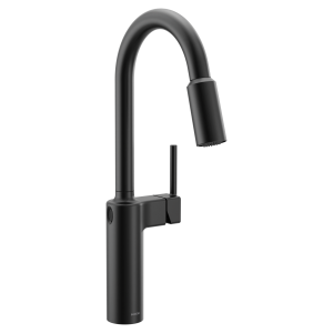 Inara One-Handle High Arc Pulldown Kitchen Faucet