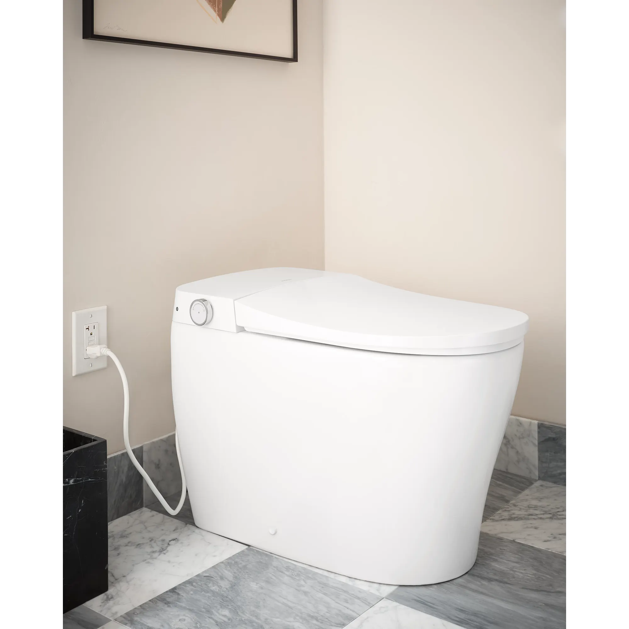 2-Series Electronic Cleansing Toilet - Image 4