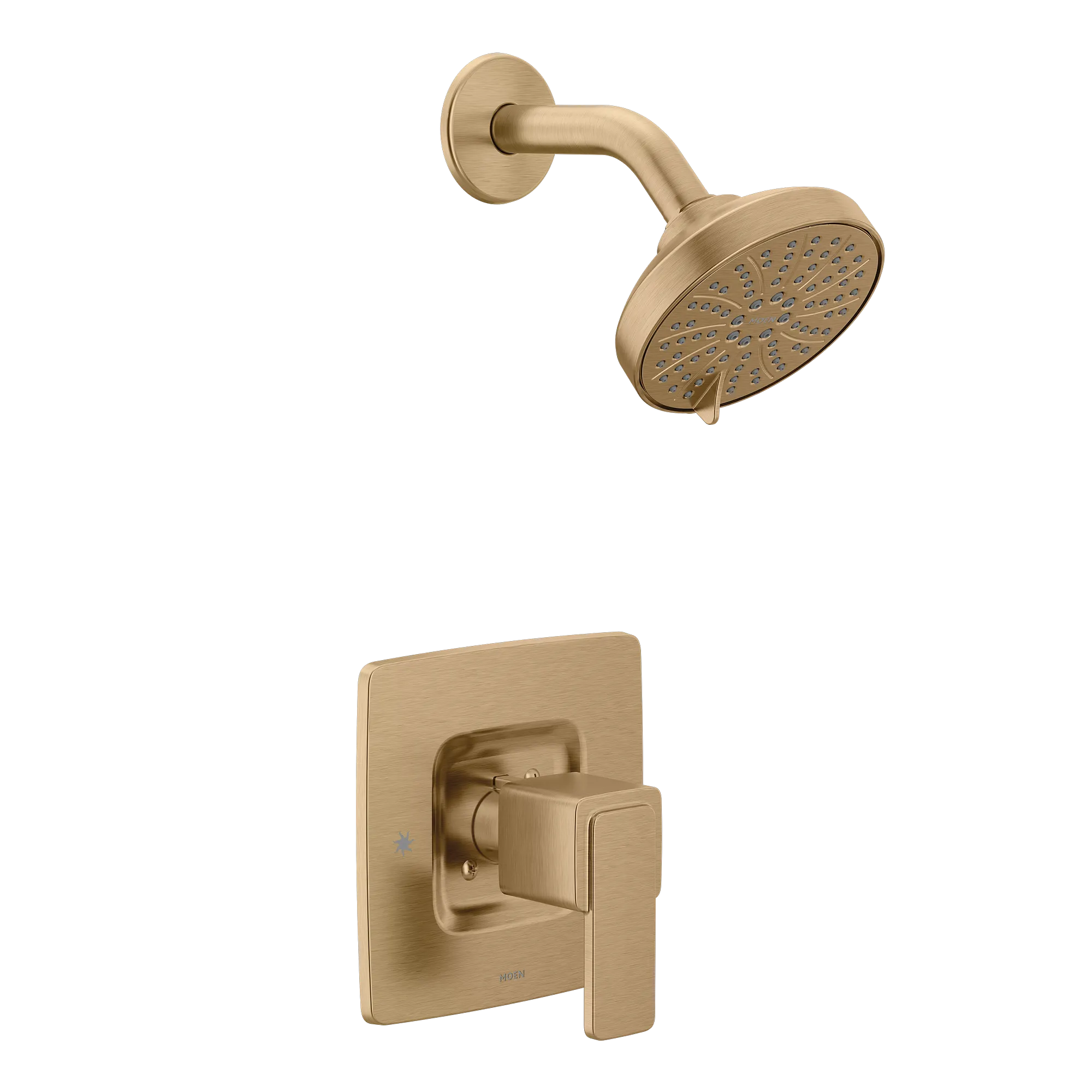 Iver Posi-Temp(R) Shower Only - Image 8